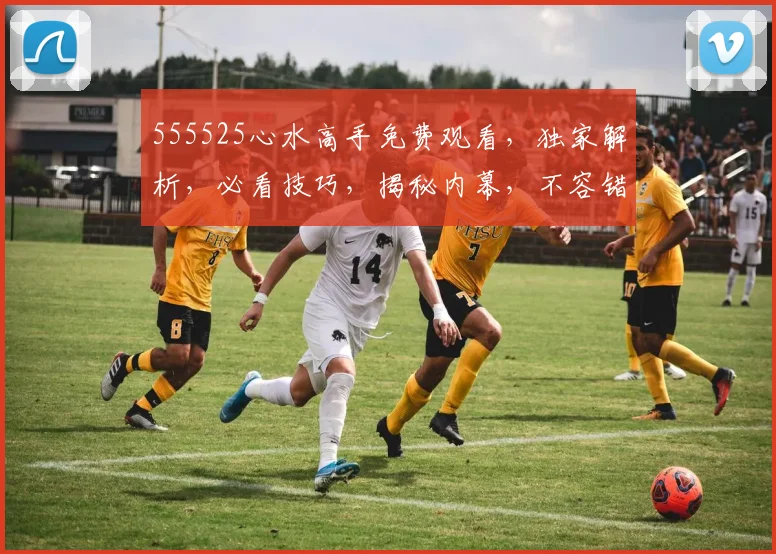 555525心水高手免费观看，独家解析，必看技巧，揭秘内幕，不容错过